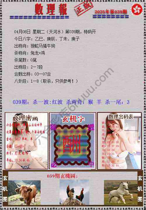 数理报