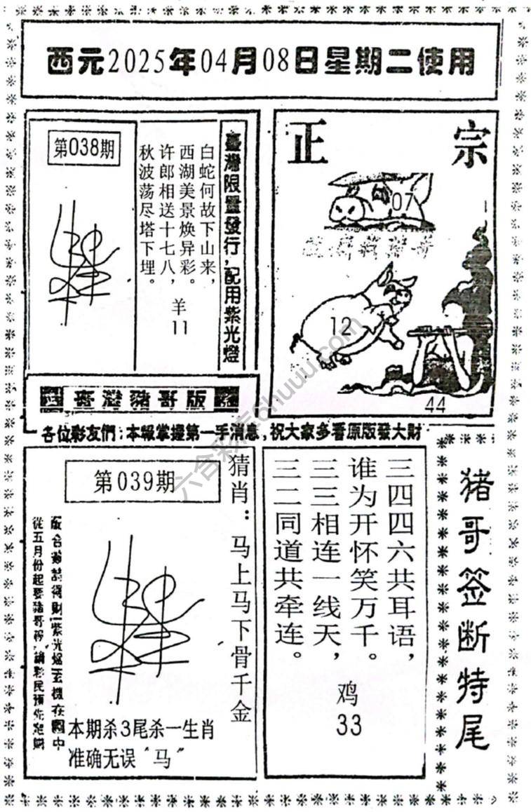 猪哥签断特尾