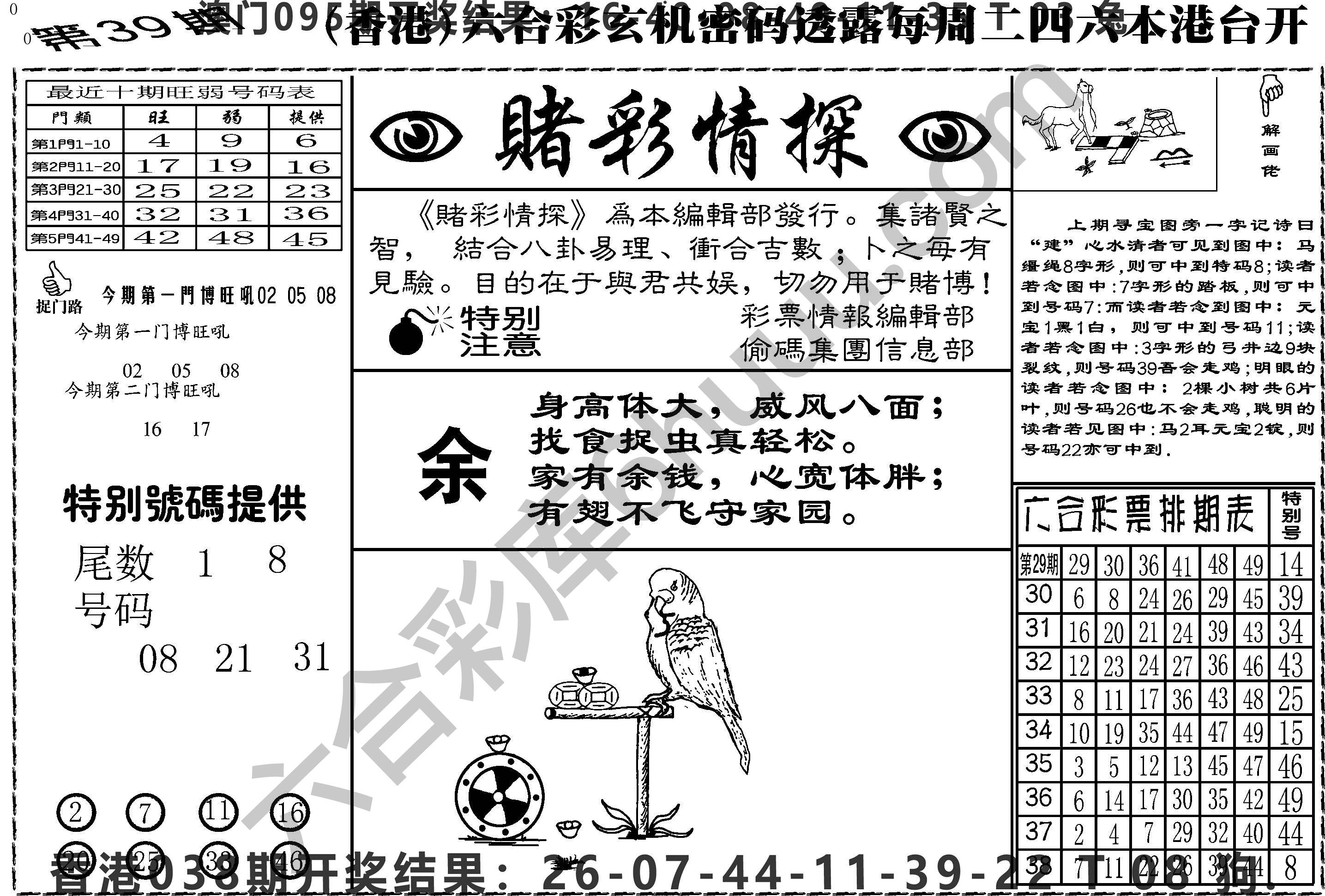 赌彩情探