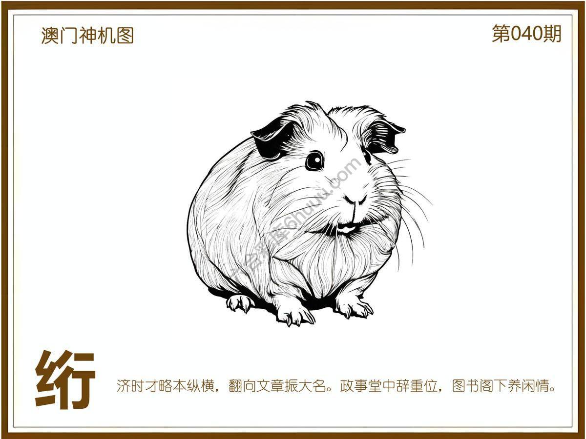 澳门神机图