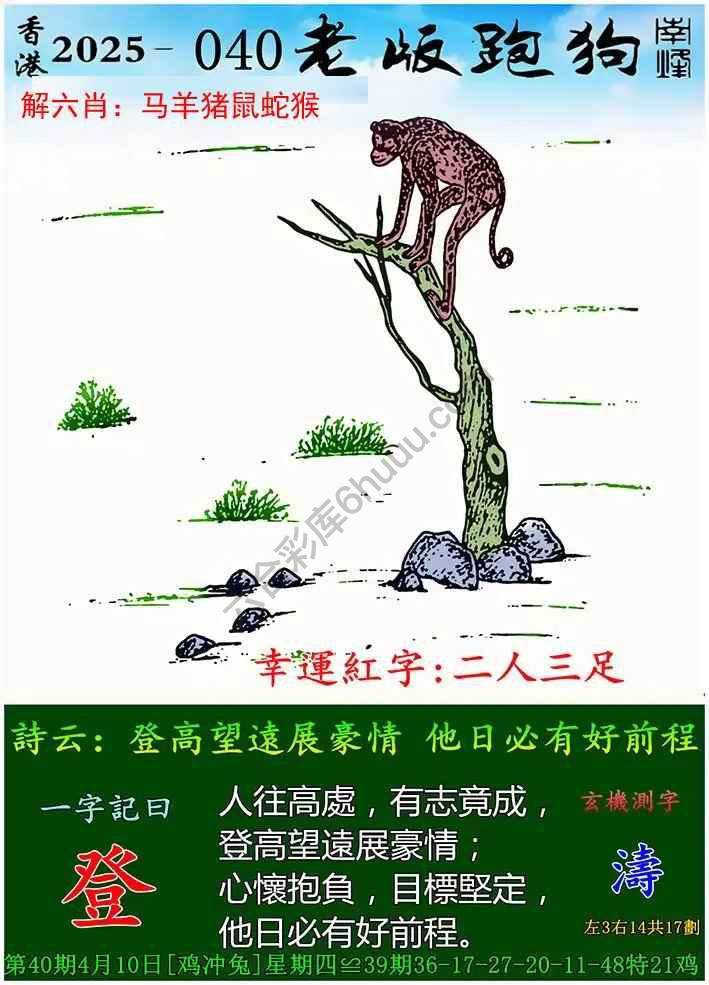 老版跑狗图