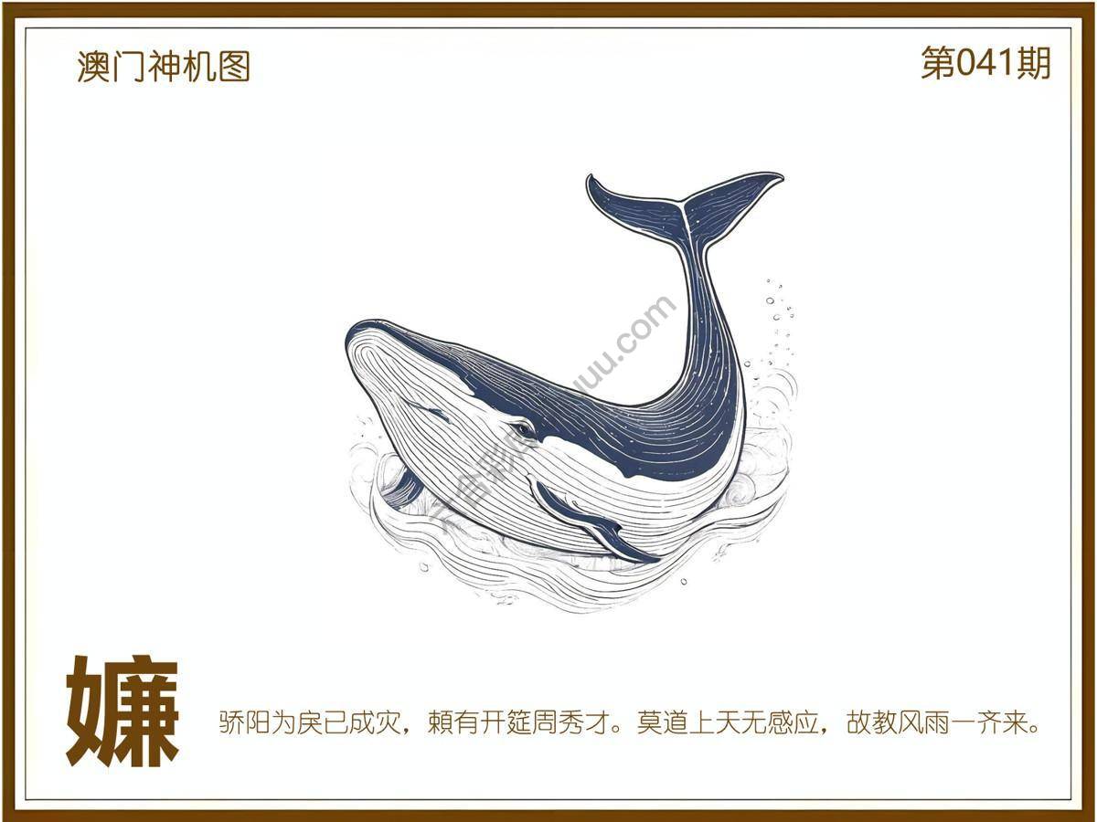 澳门神机图