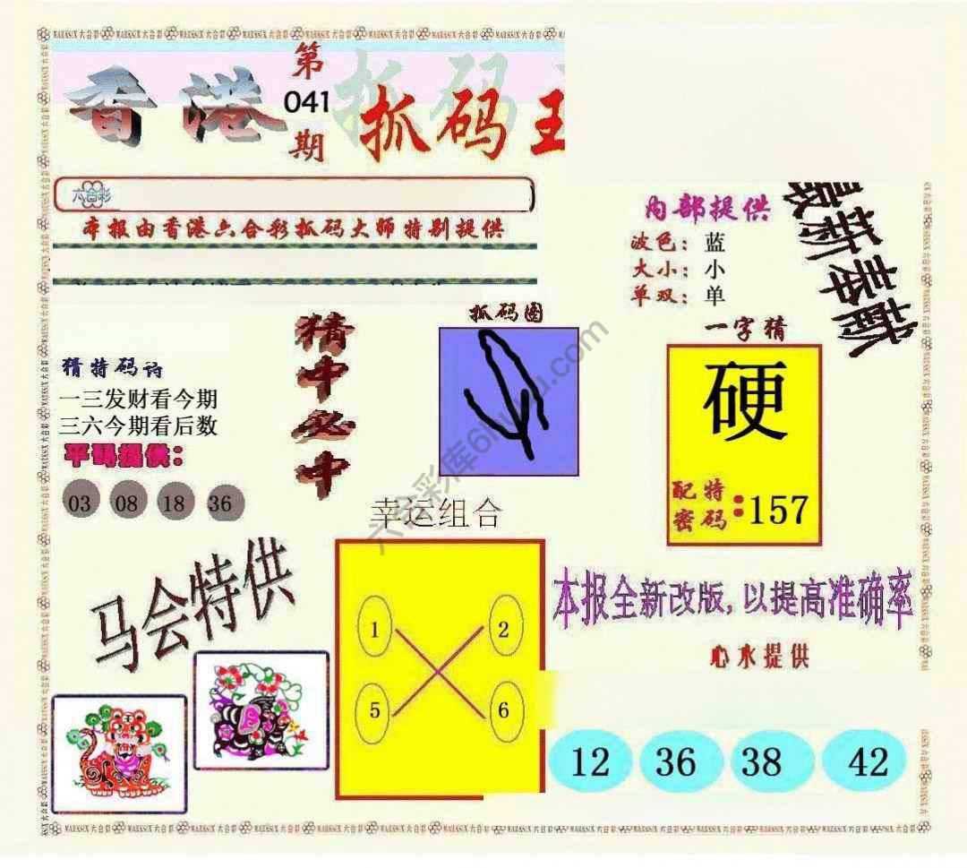 新抓码王