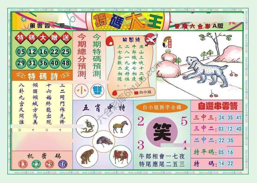 特码大王
