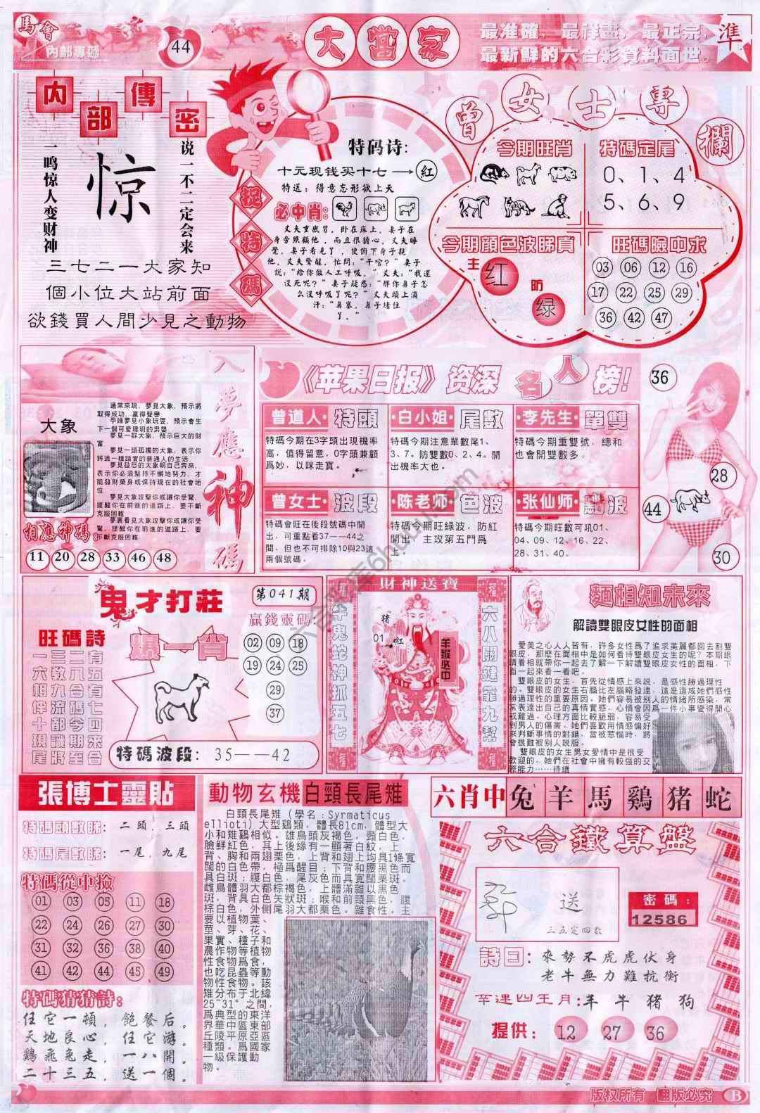 大当家