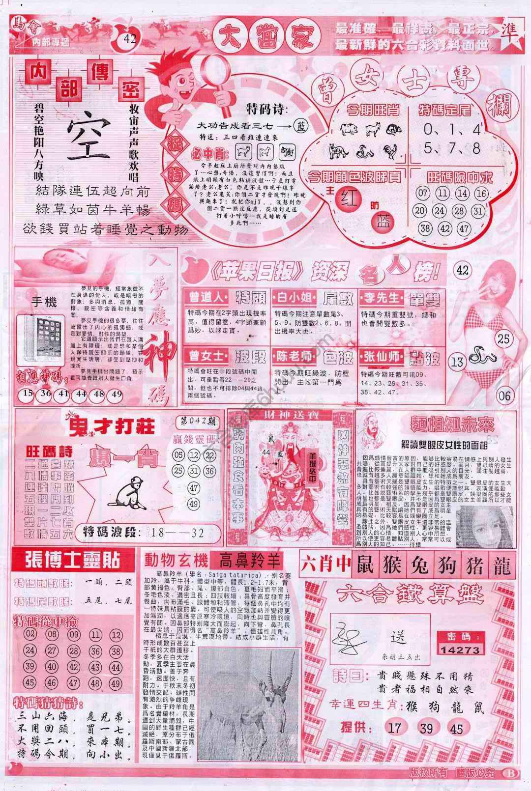 大当家