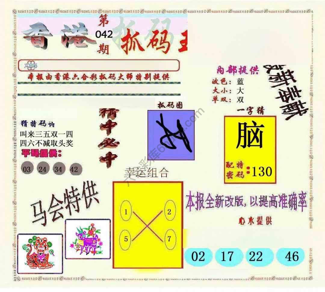 新抓码王