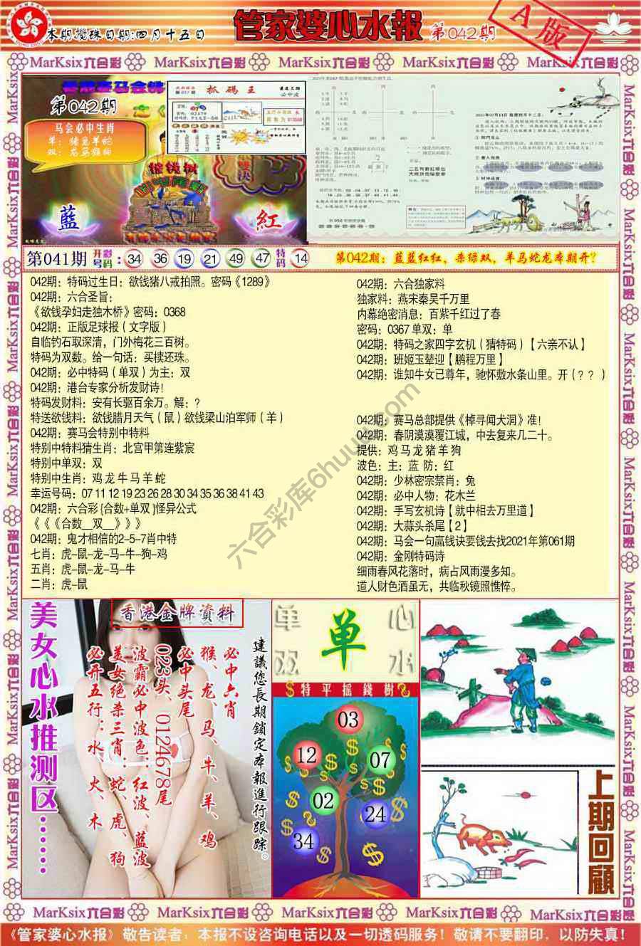 管家婆心水报