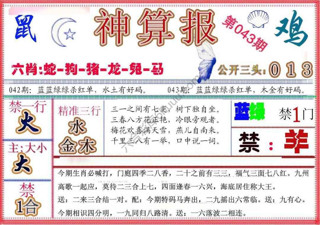 神算报新版