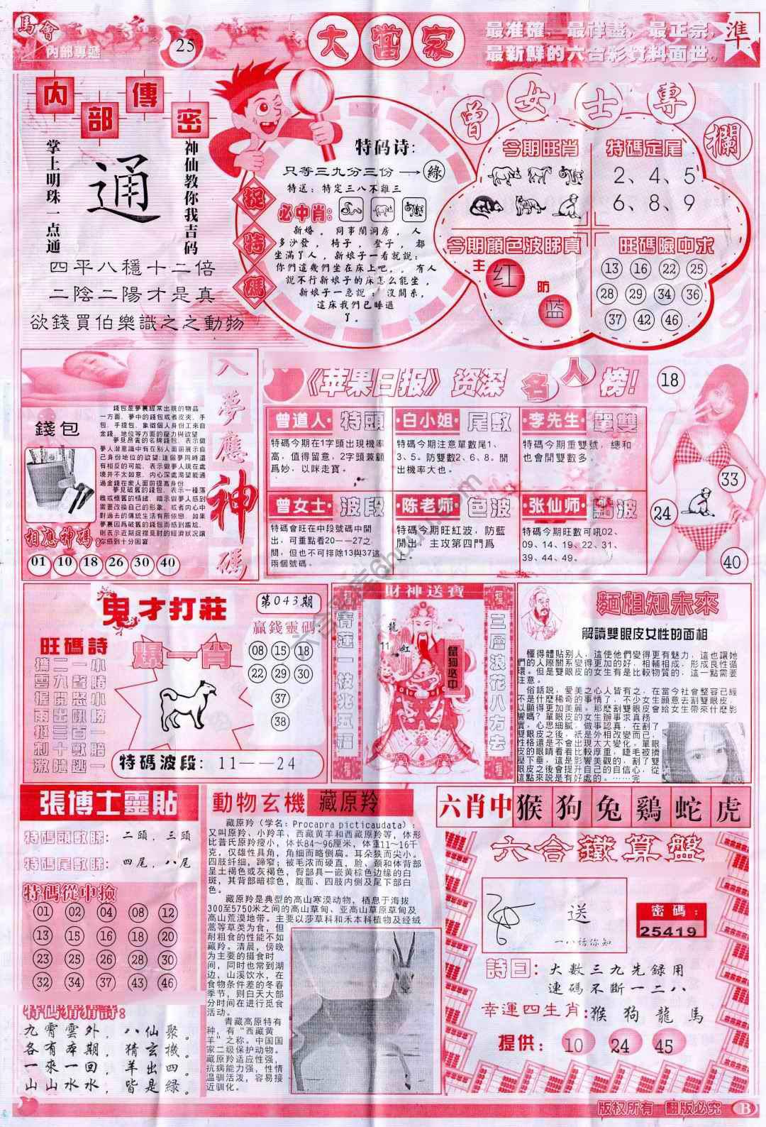 大当家