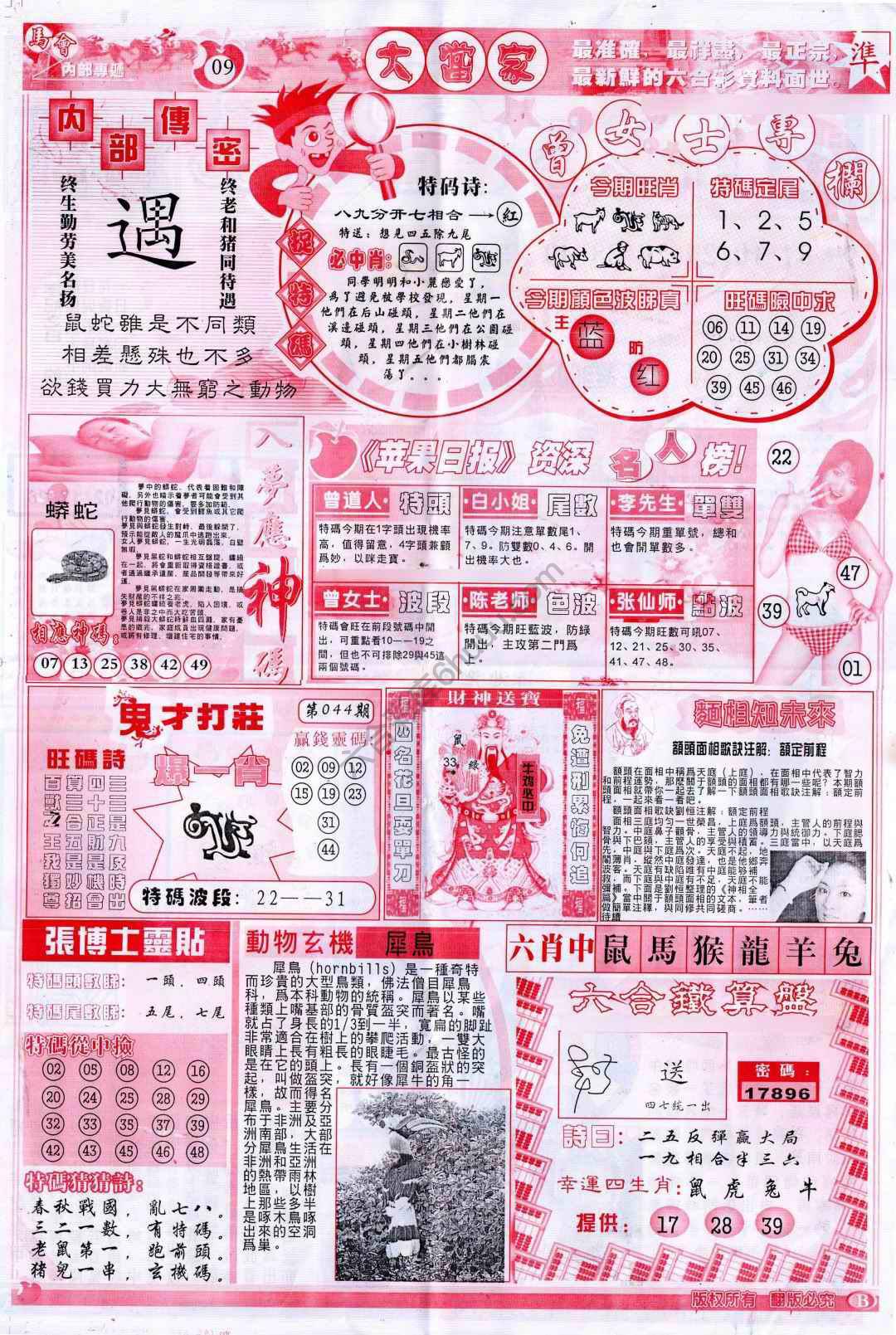 大当家