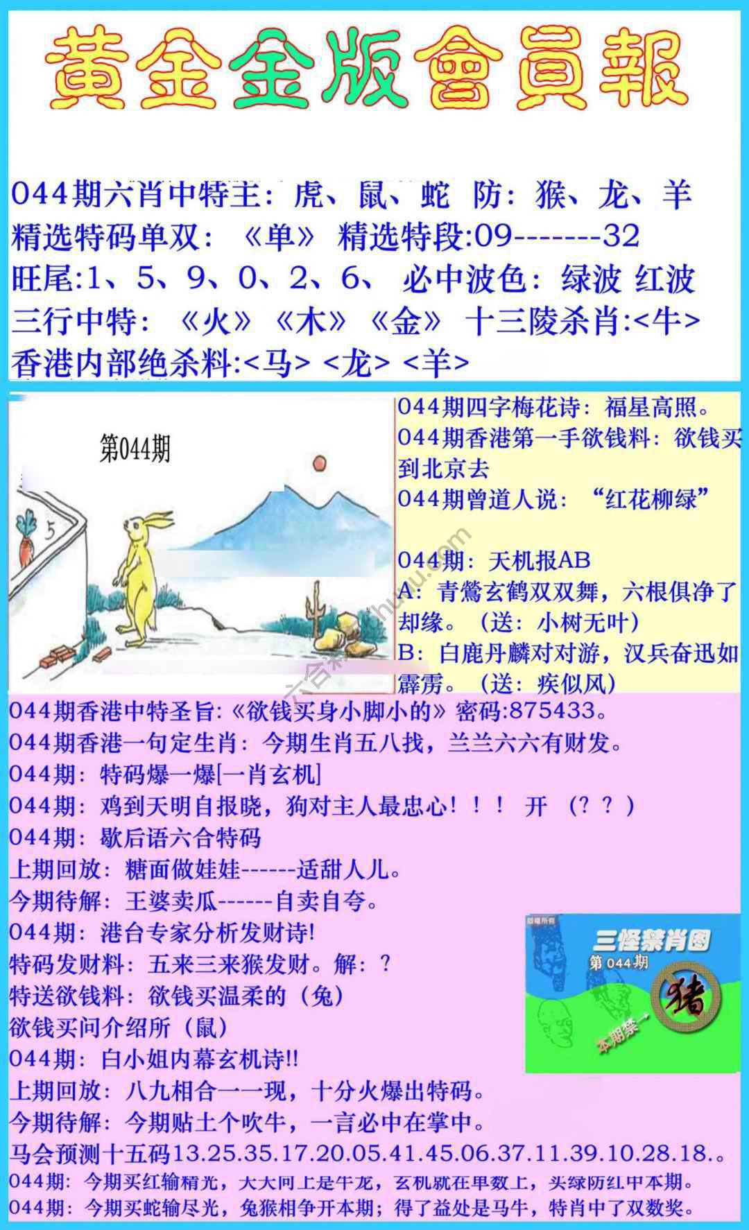 黄金金版会员报