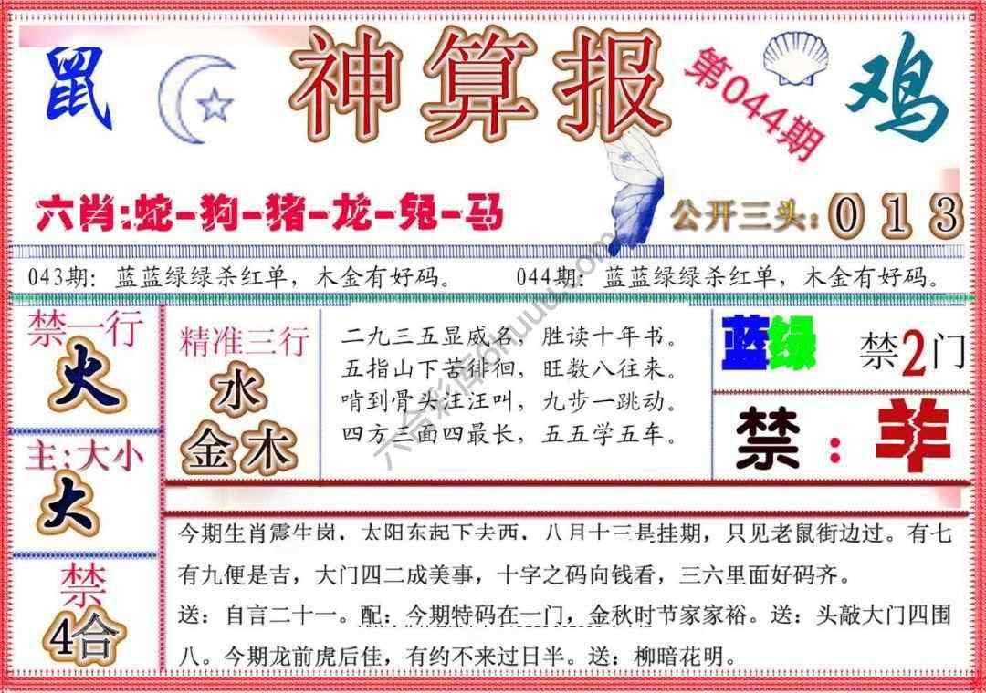 神算报新版