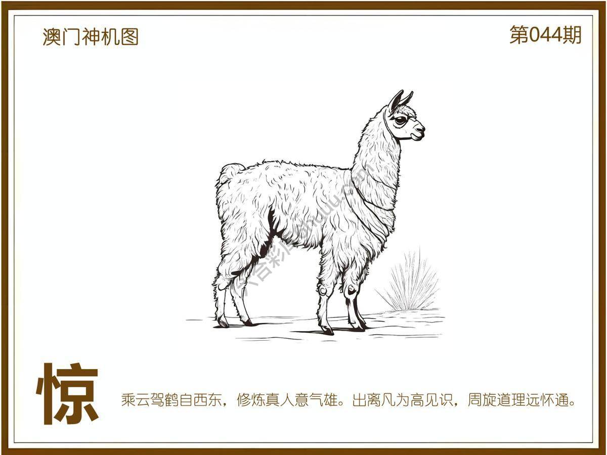 澳门神机图