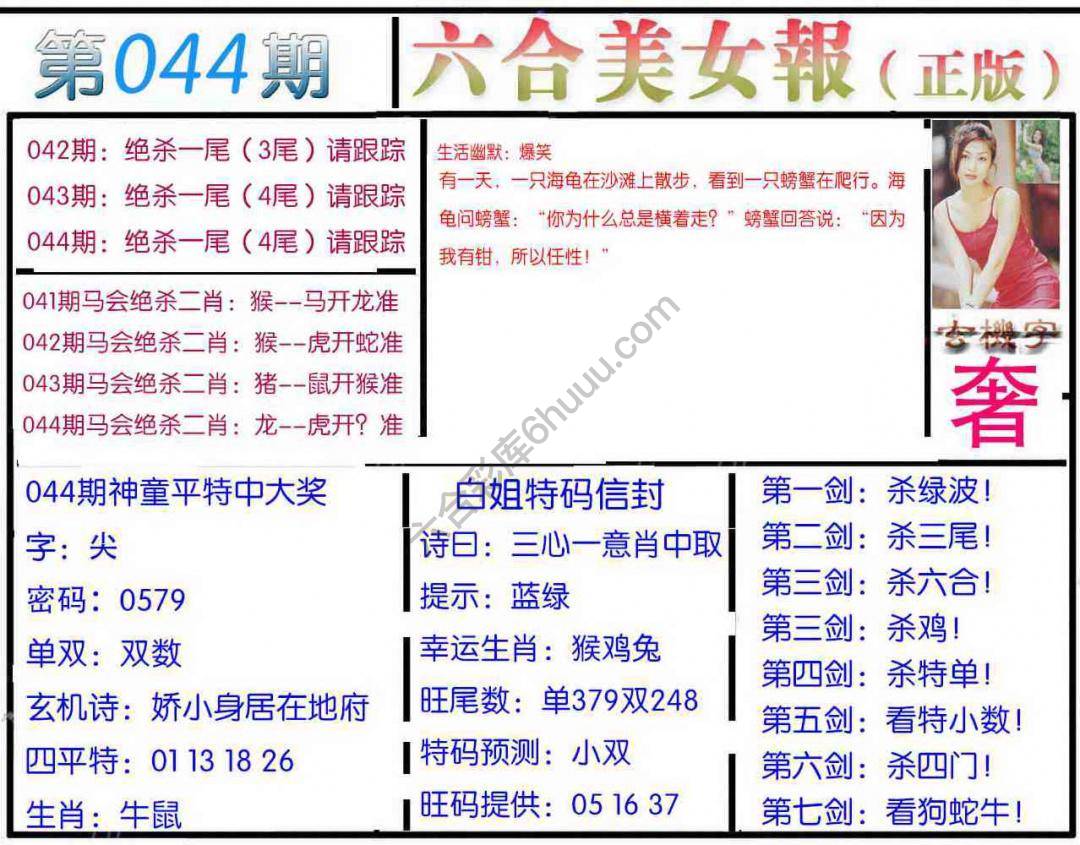 六合美女报
