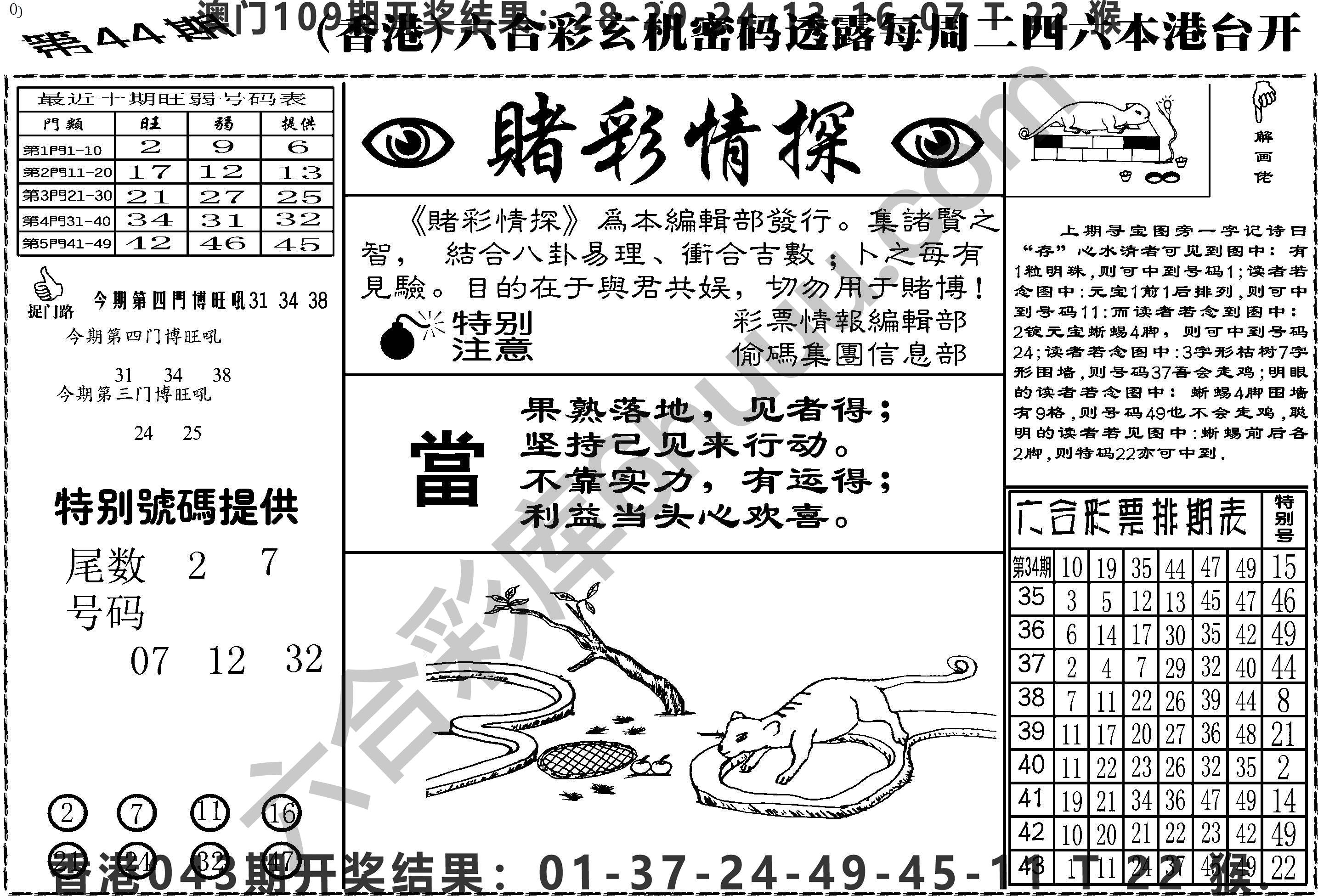 赌彩情探