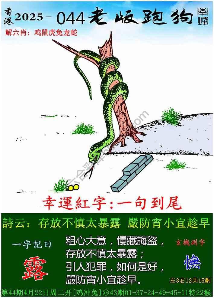 老版跑狗图