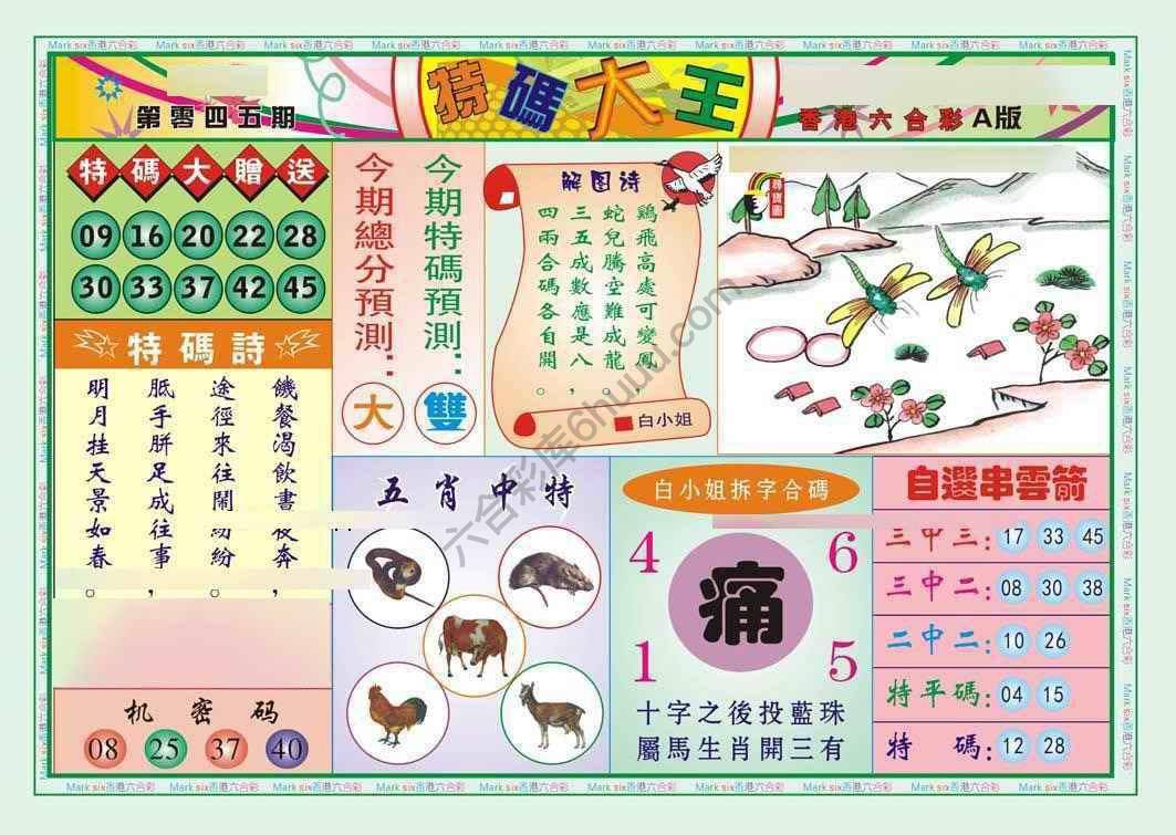 特码大王