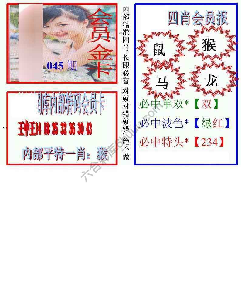 马经四肖会员报