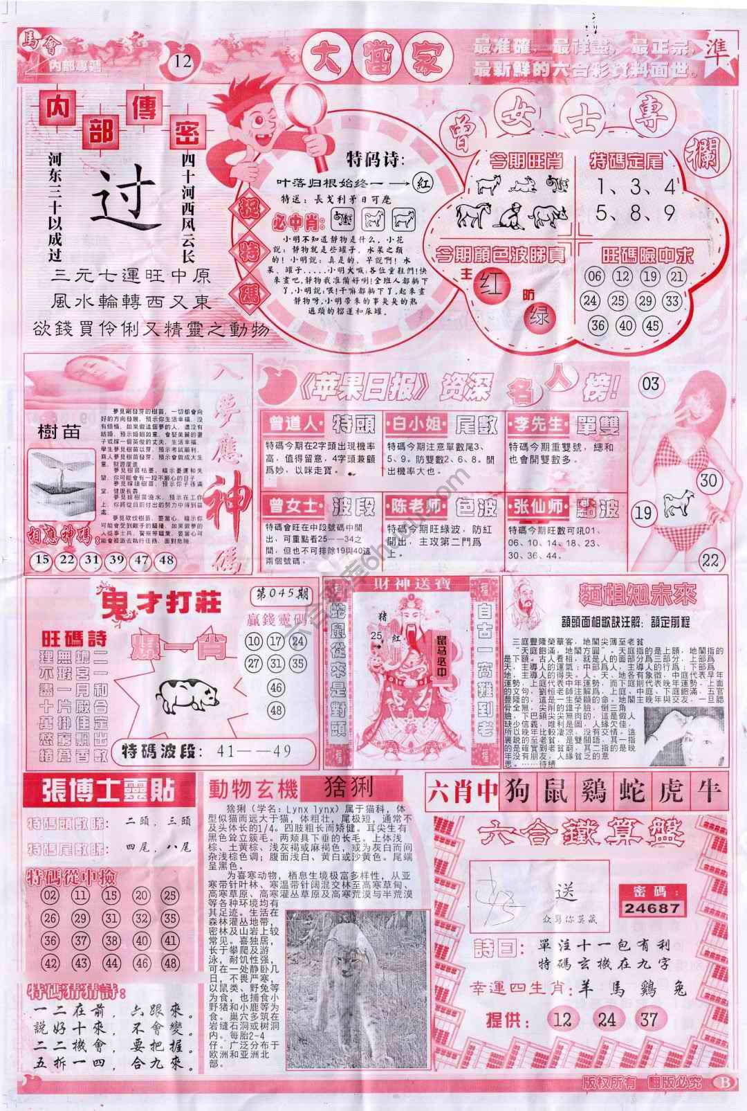大当家