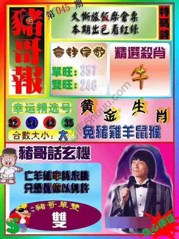 猪哥报