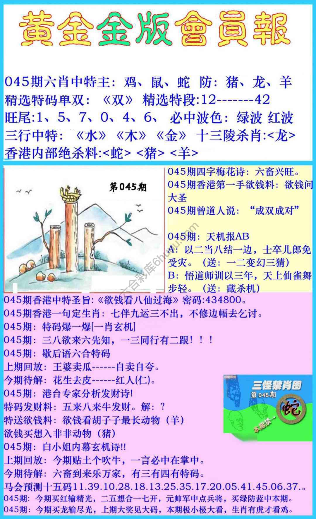 黄金金版会员报