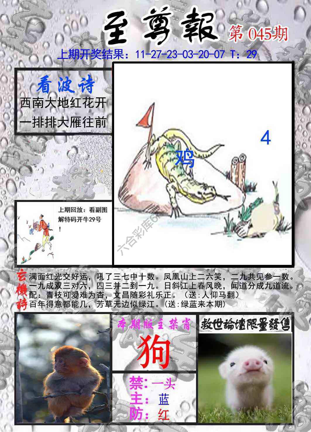 至尊报