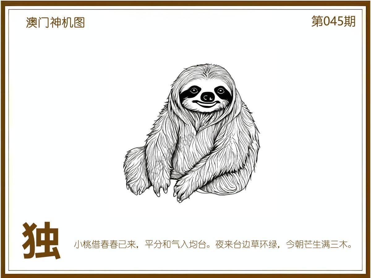 澳门神机图