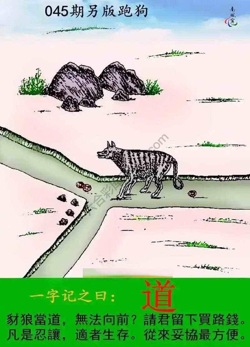 另版跑狗