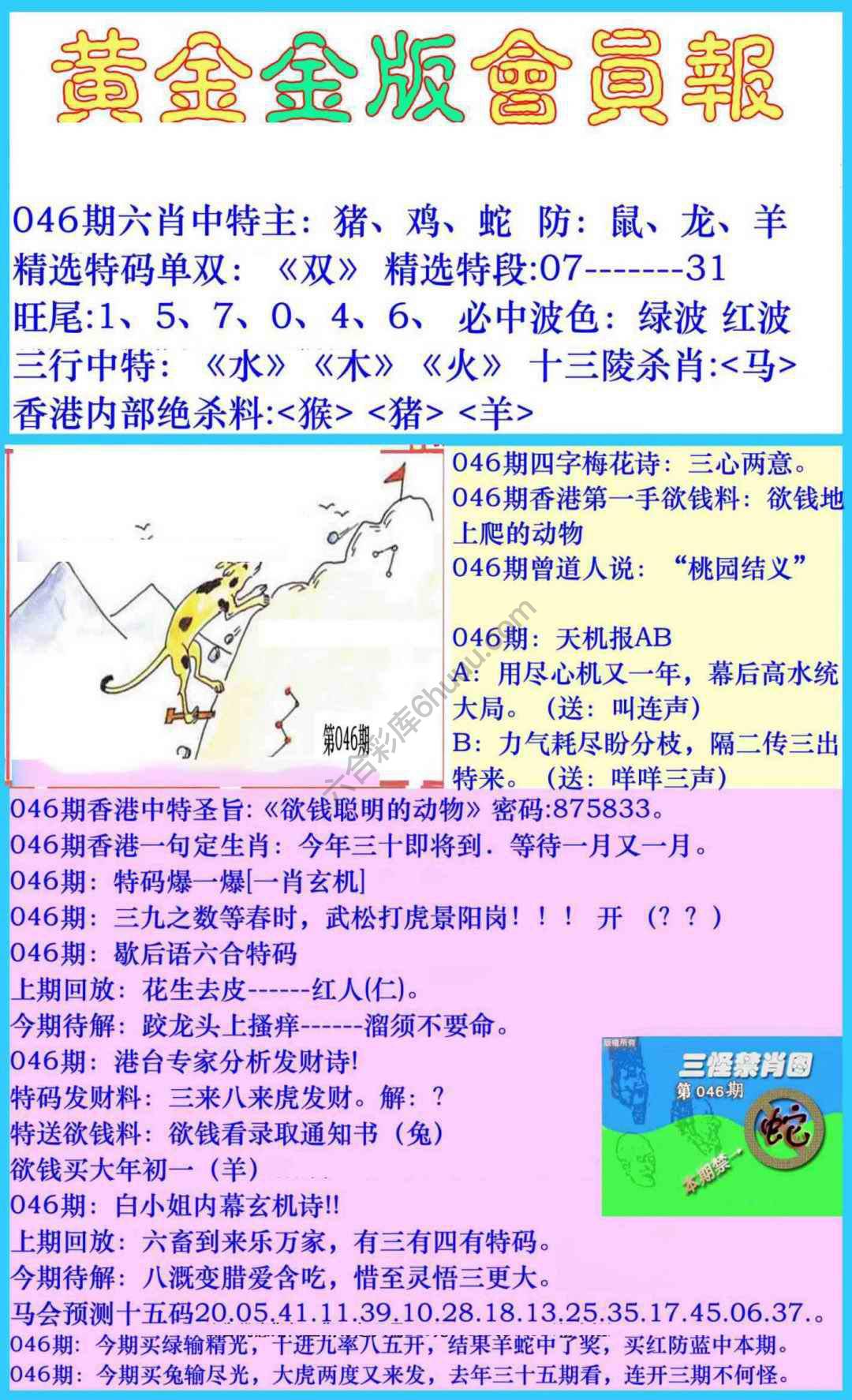 黄金金版会员报