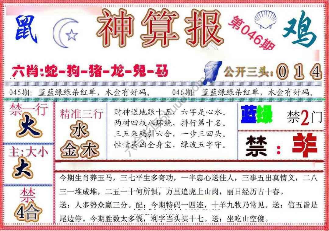 神算报新版