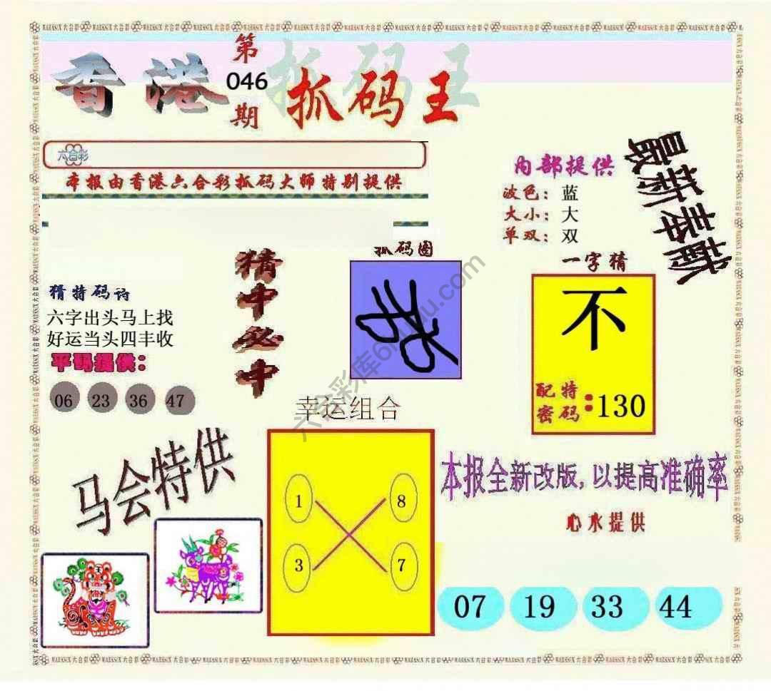 新抓码王