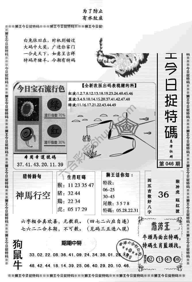 狮王今日抓特码