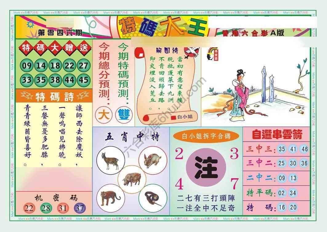 特码大王