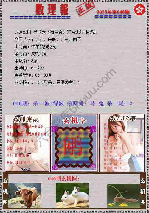 数理报