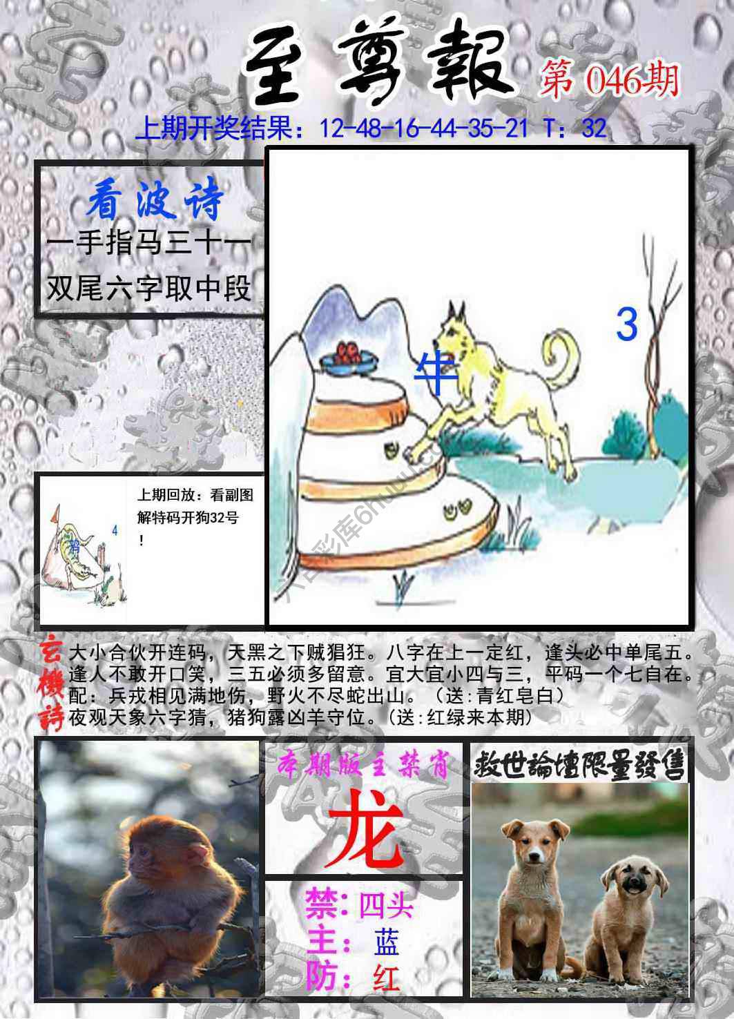 至尊报