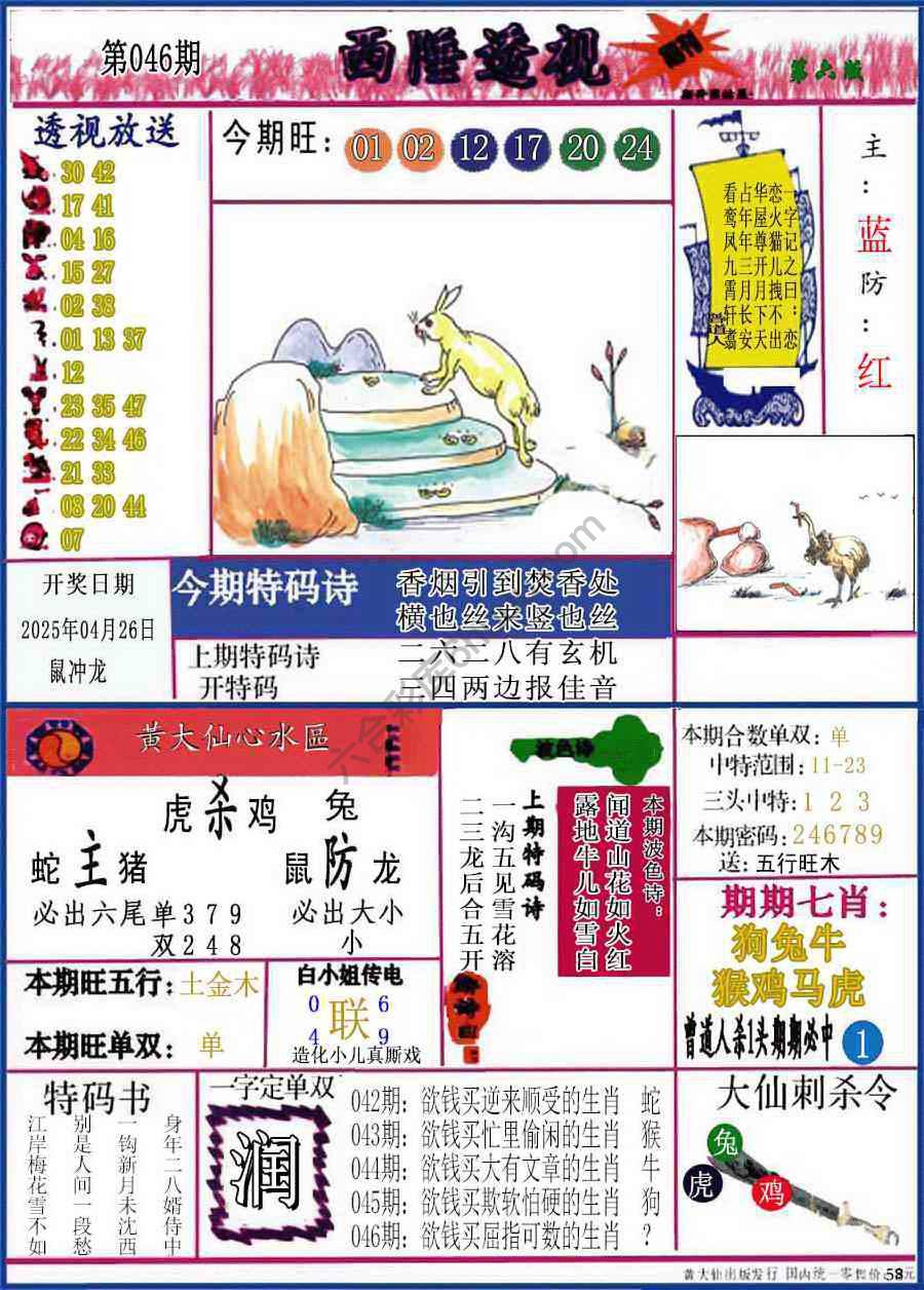 西陲透视（正版）