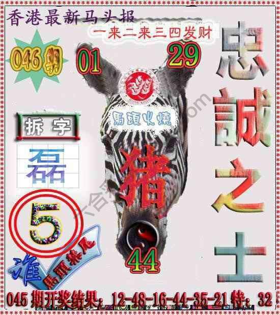 香港马头报