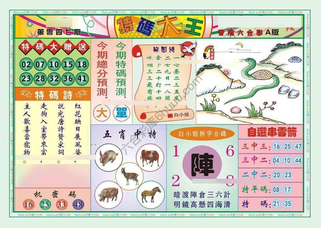 特码大王