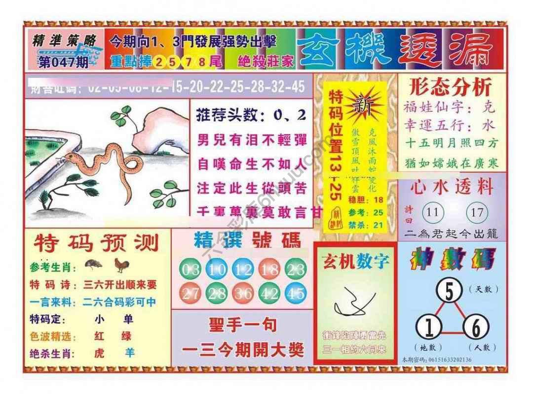 玄机透漏