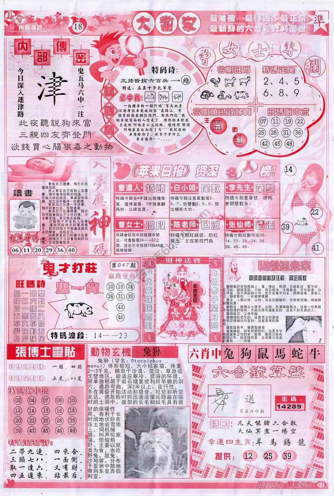 大当家