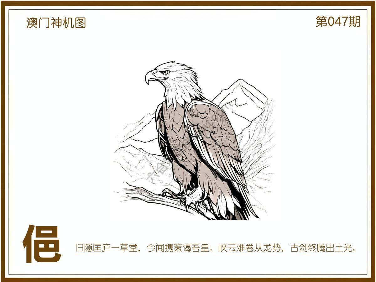 澳门神机图