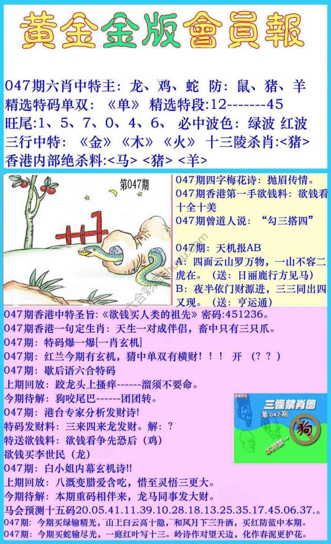 黄金金版会员报