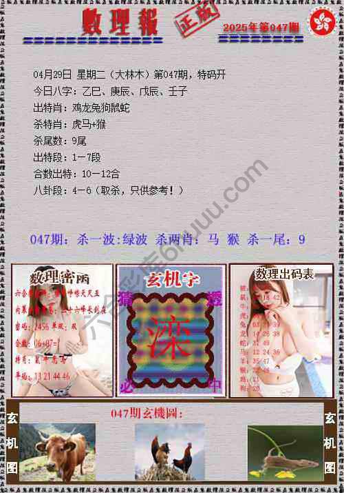 数理报