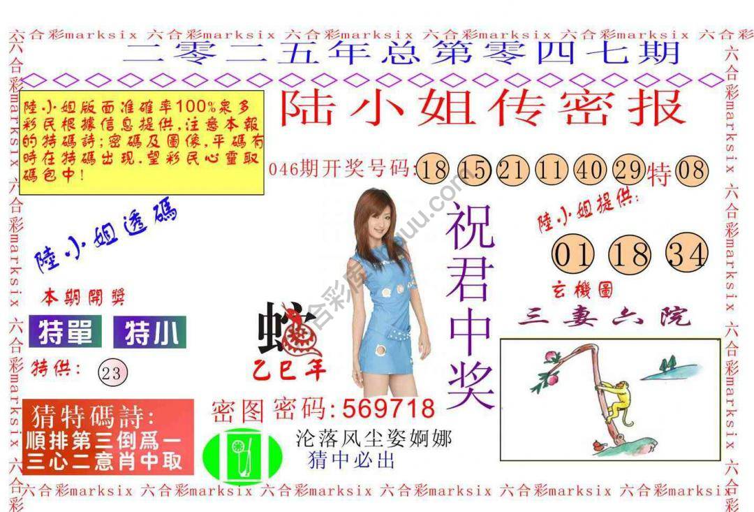 陆小姐传密