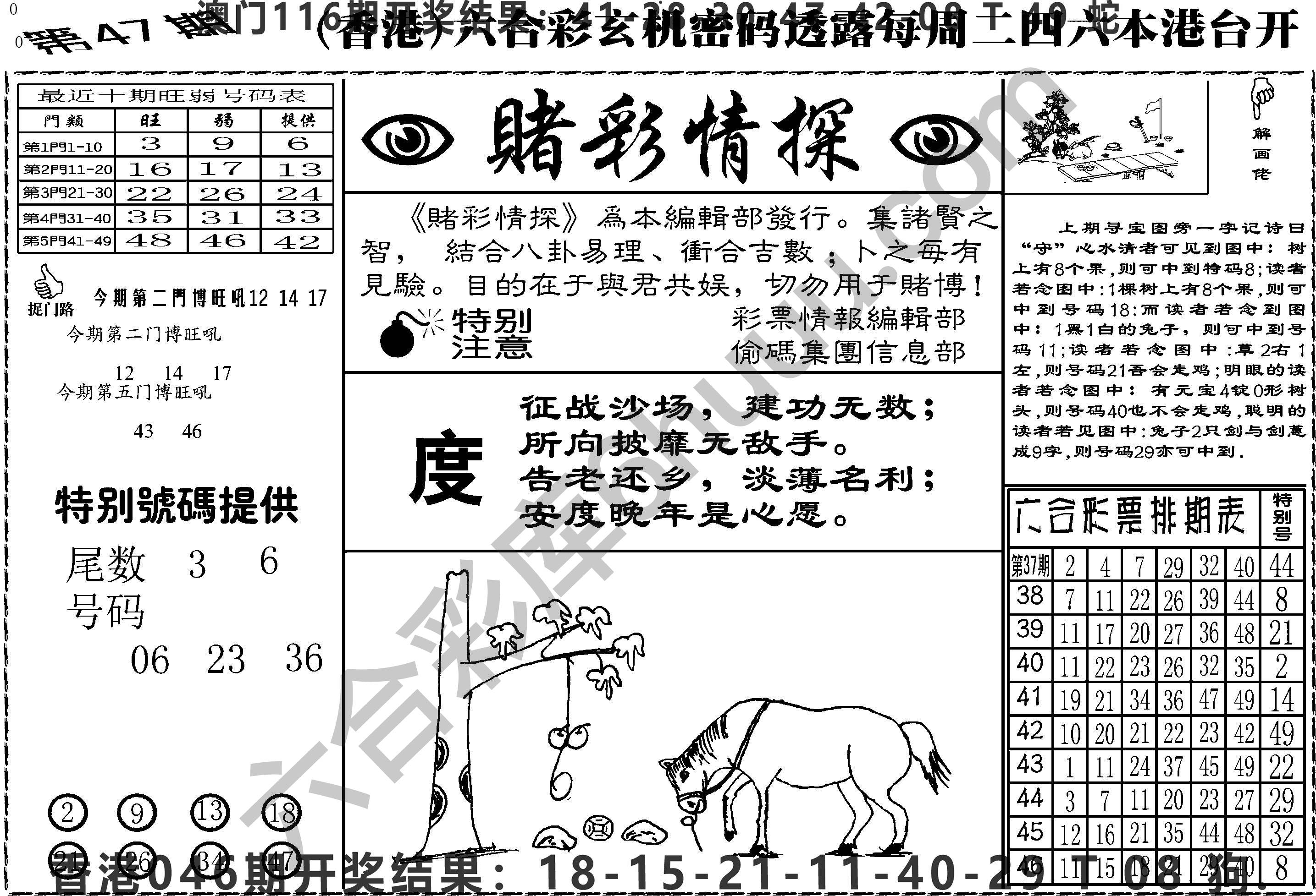 赌彩情探