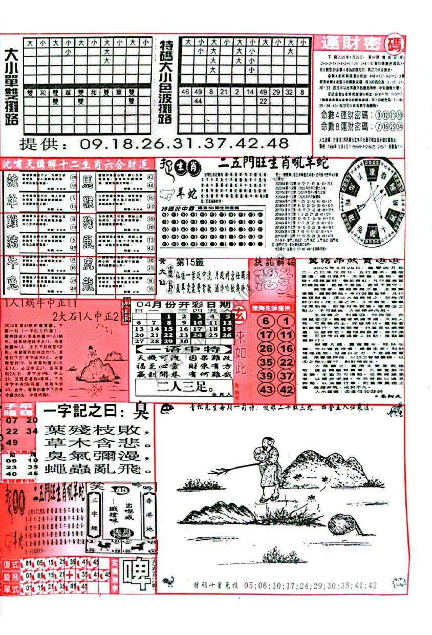 六合彩玄机