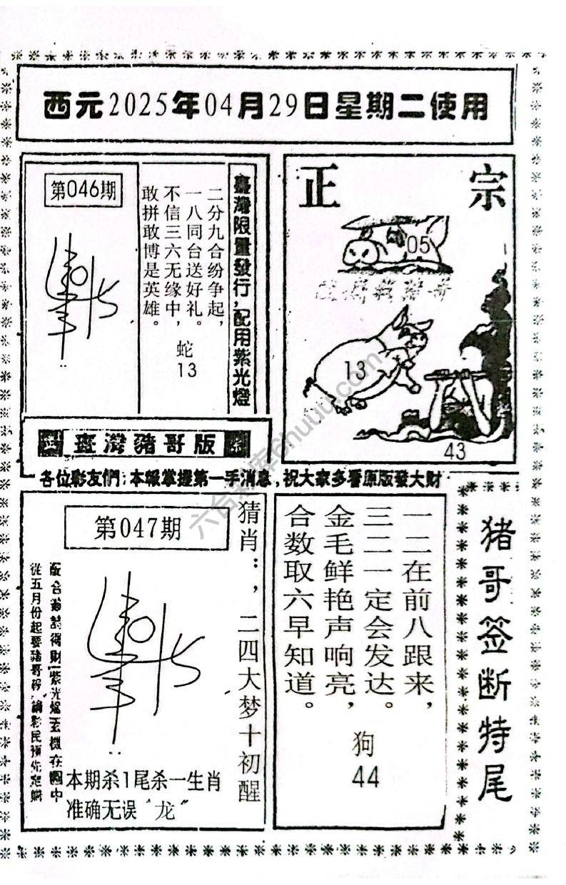 猪哥签断特尾