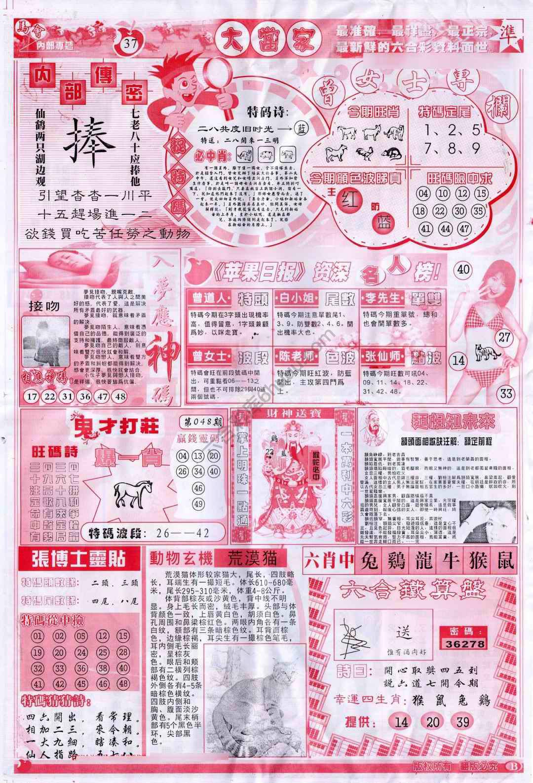 大当家