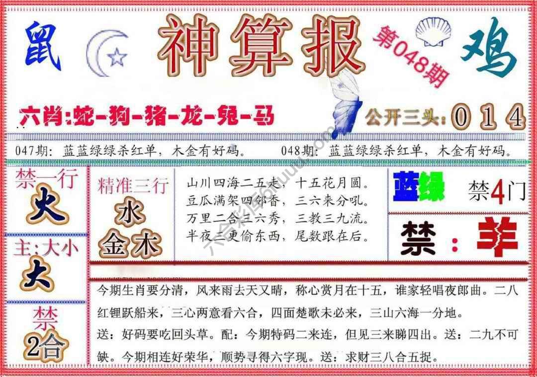 神算报新版